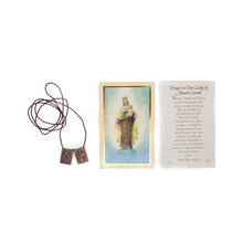 Load image into Gallery viewer, Our Lady of Mt. Carmel Scapular